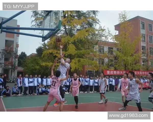 在篮球场上绽放的爱恋与梦想交织的青春故事