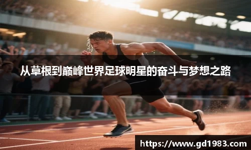 从草根到巅峰世界足球明星的奋斗与梦想之路