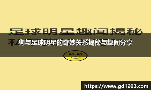 狗与足球明星的奇妙关系揭秘与趣闻分享