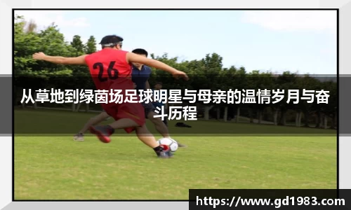从草地到绿茵场足球明星与母亲的温情岁月与奋斗历程